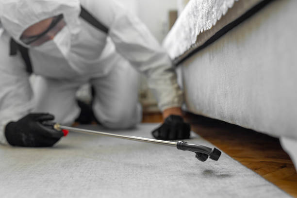 Professional Bed Bug Control technician working in Jamesport, NY